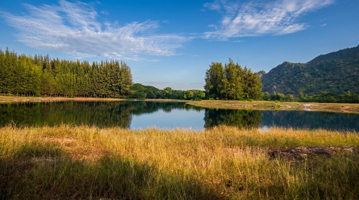 Lake with golden reeds and mountain backdrop