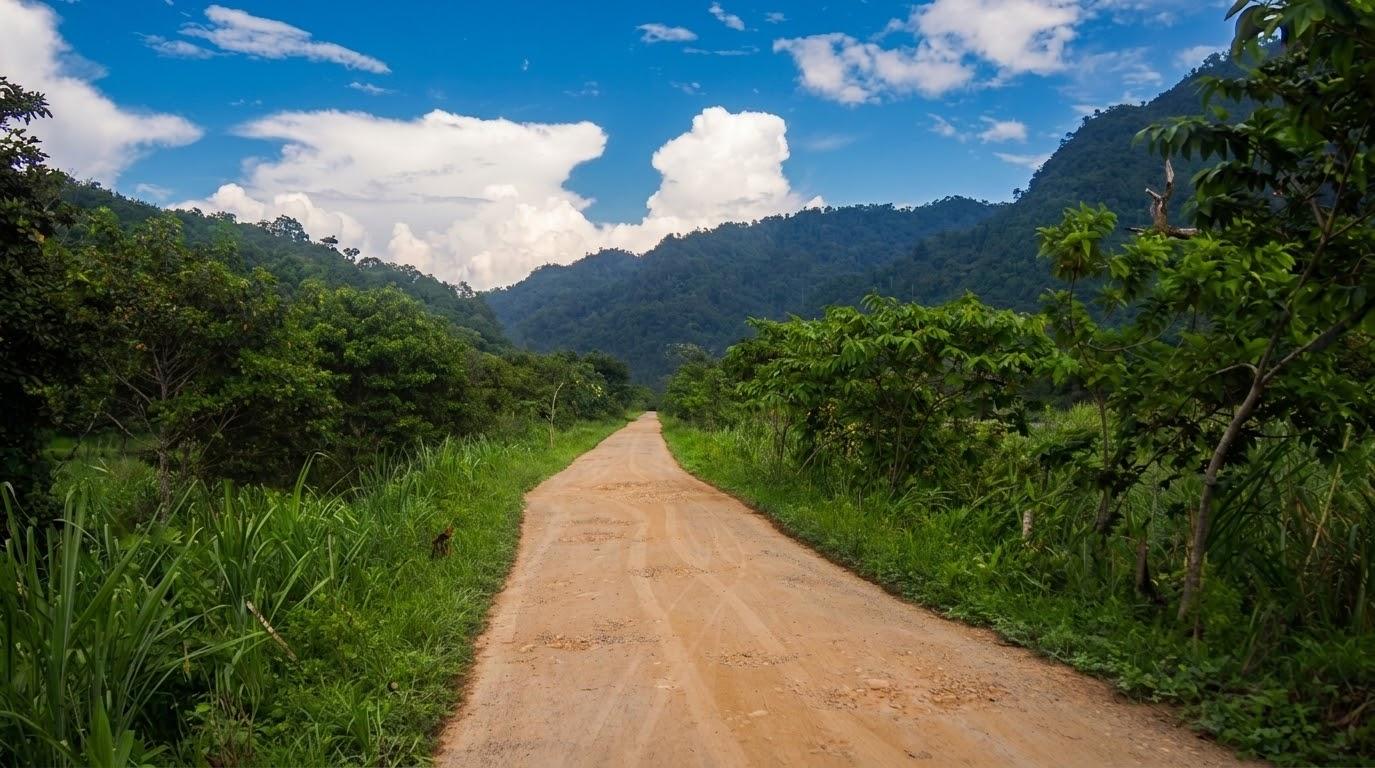 Dirt road through a jungle valley